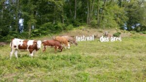 Festival des Arcs - Cows
